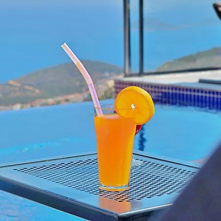 Luxury In With Private Infinity Pool Willa Kalkan